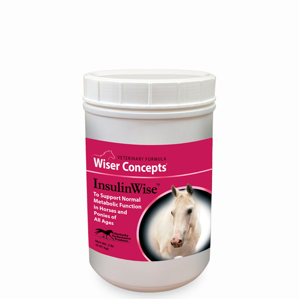 InsulinWise 910 g