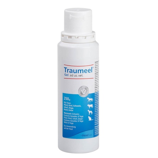 [35006] Traumeel gel 250 g