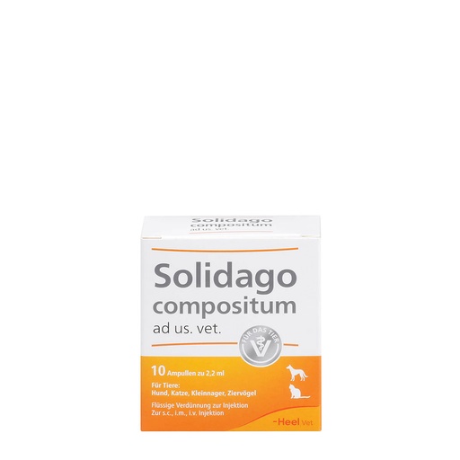 [35009] Solidago compositum ad us. vet. 10 x 2,2 ml
